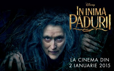 În Inima Pădurii (Into the Woods)