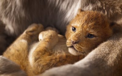 “Regele Leu” e gata. Să-nceapă “Hakuna Matata”!