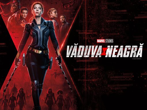 Văduva Neagră