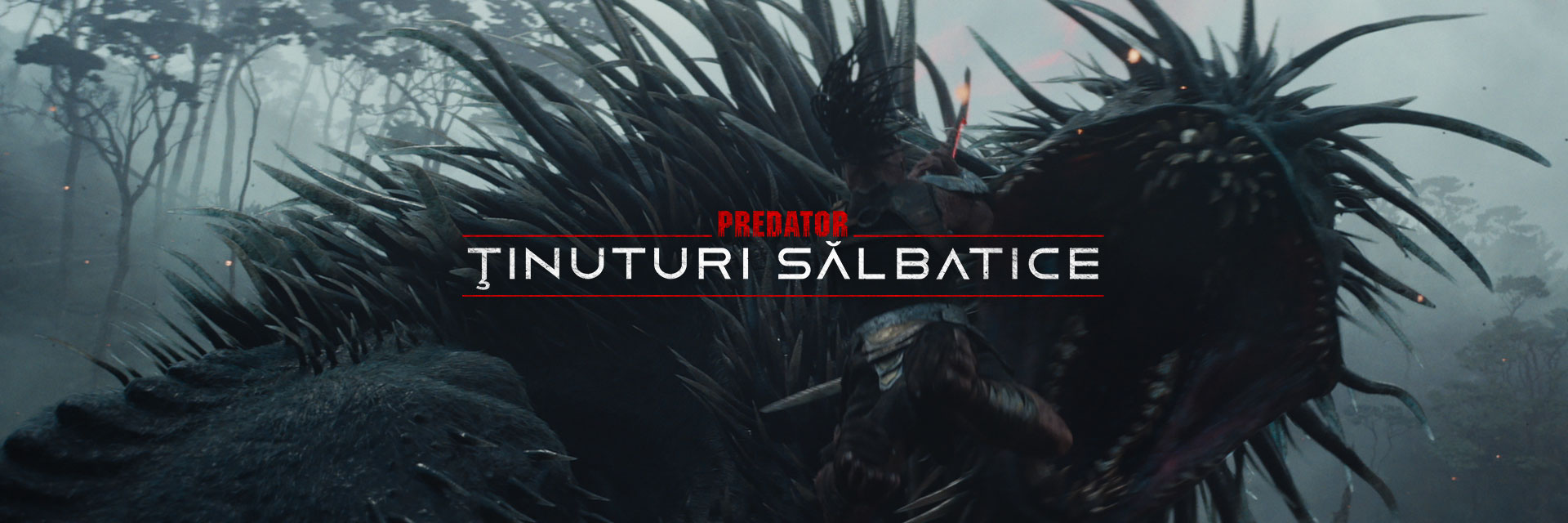 fallback-desktop-banner