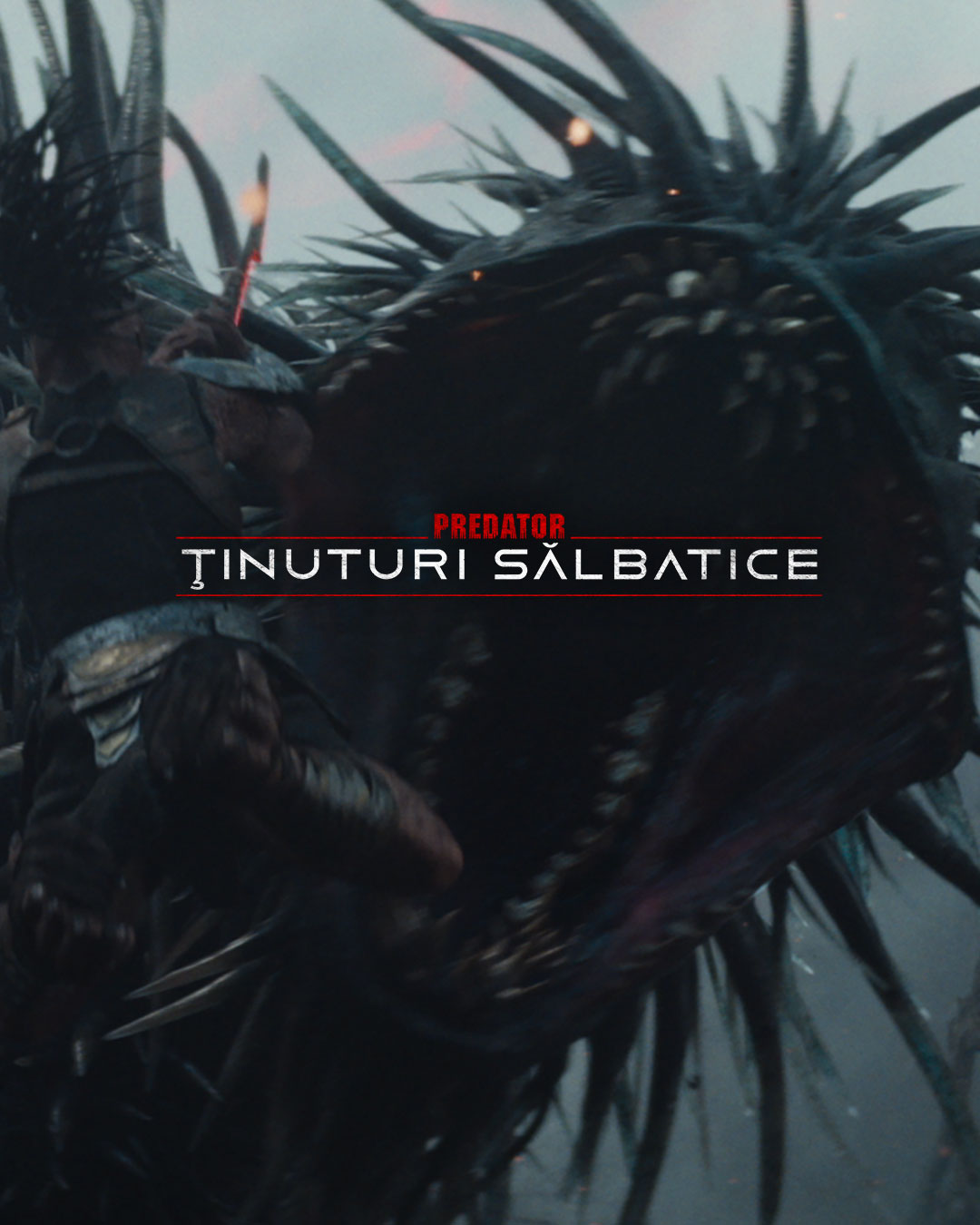 fallback-mobile-banner