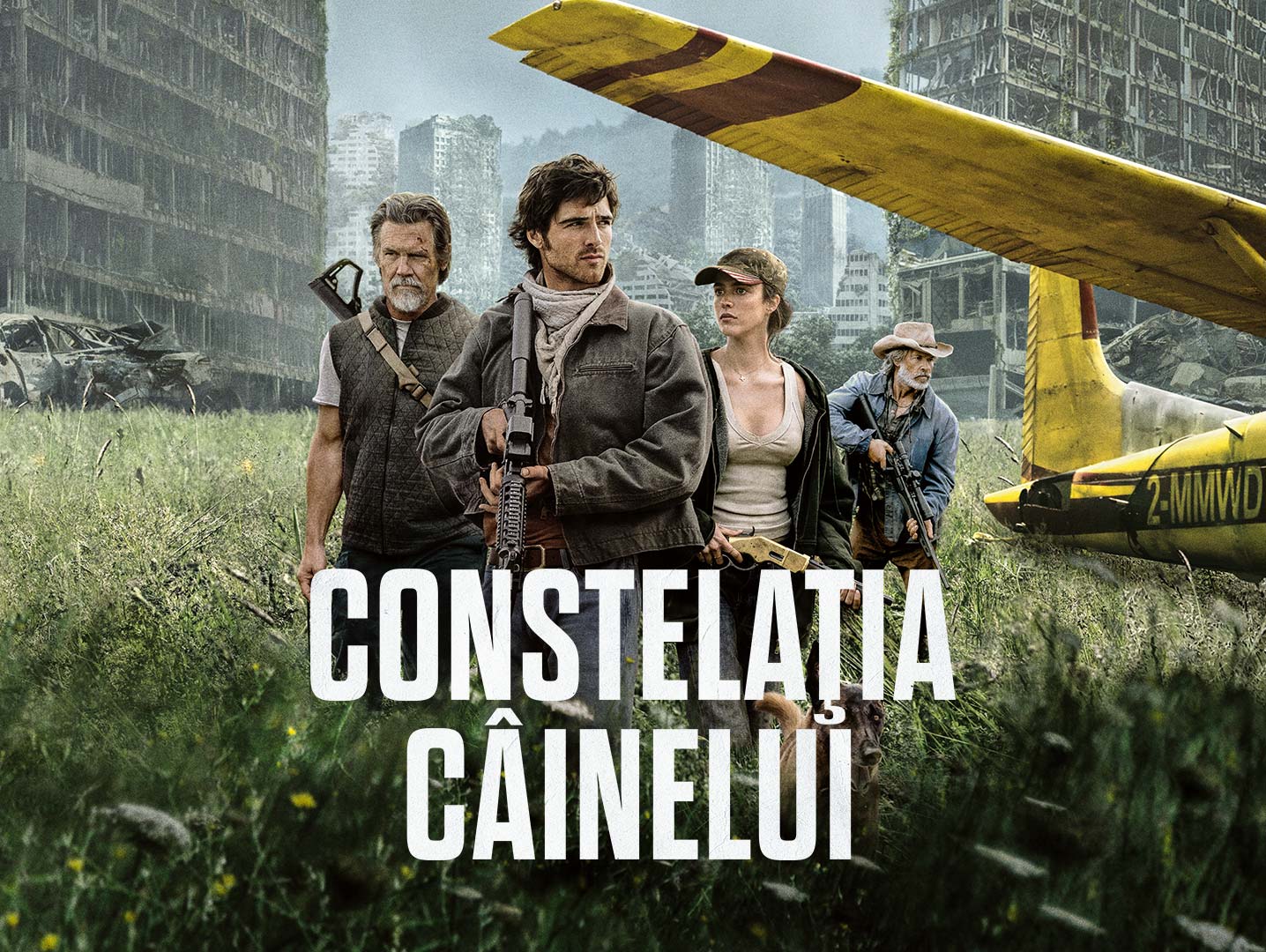 Constelația câinelui
