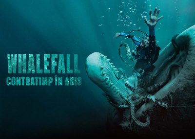 Whalefall: Contratimp în abis