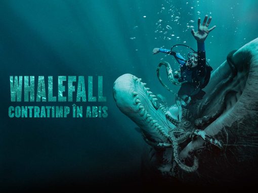 Whalefall: Contratimp în abis